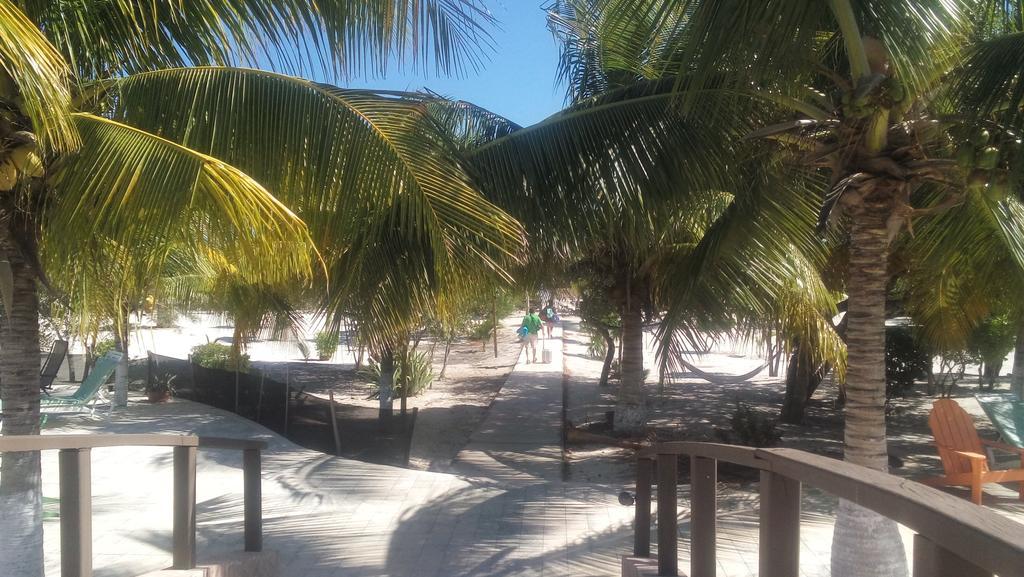 Hotel & Villas Playa Maya Resorts Celestun Extérieur photo